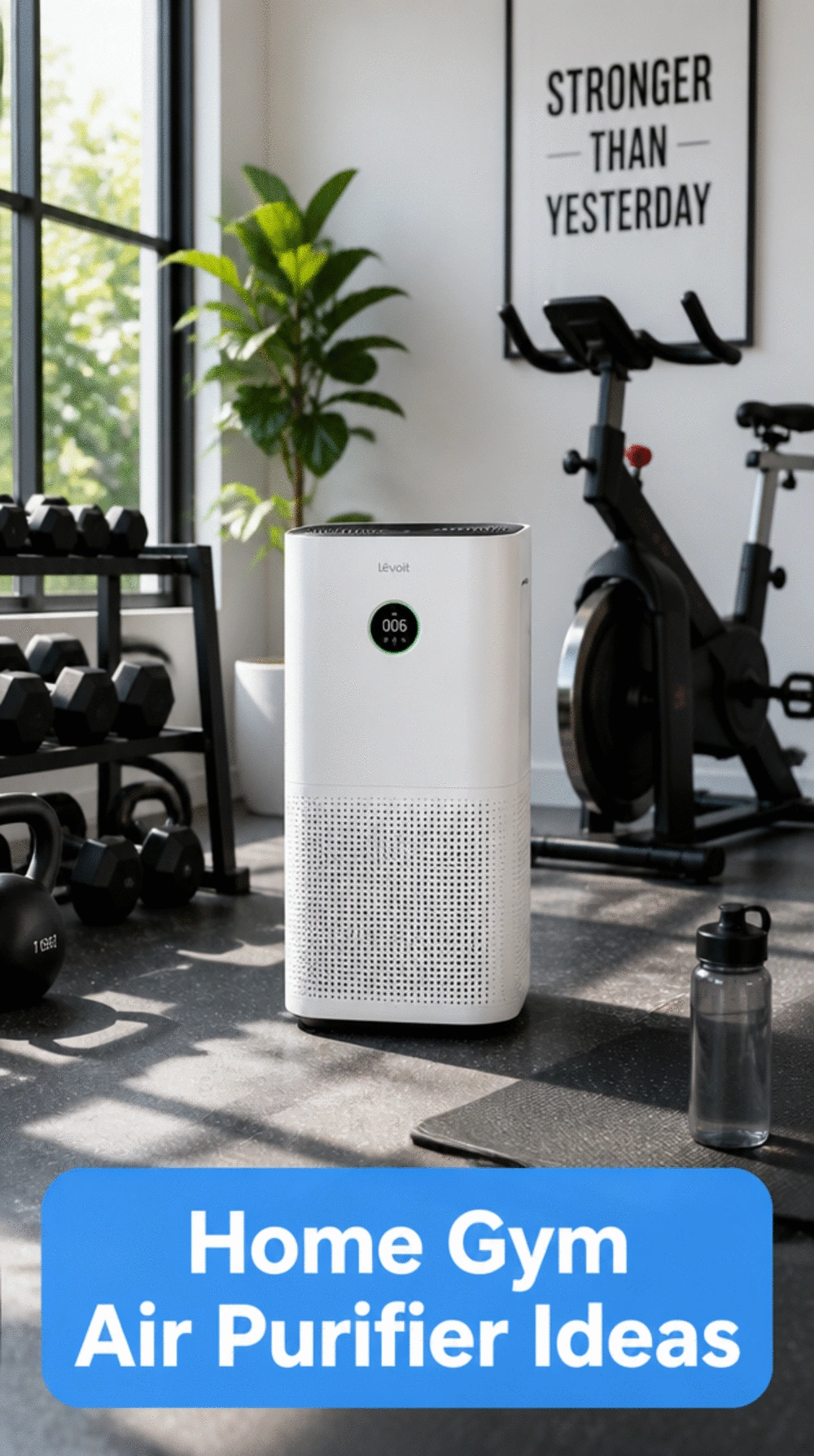 Home Gym Air Purifier That Removes Rubber Offgassing and Sweat Odour