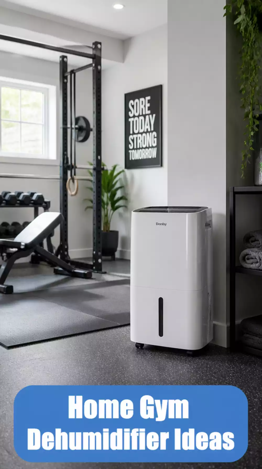 Home Gym Dehumidifier That Keeps a Basement Workout Space Comfortable