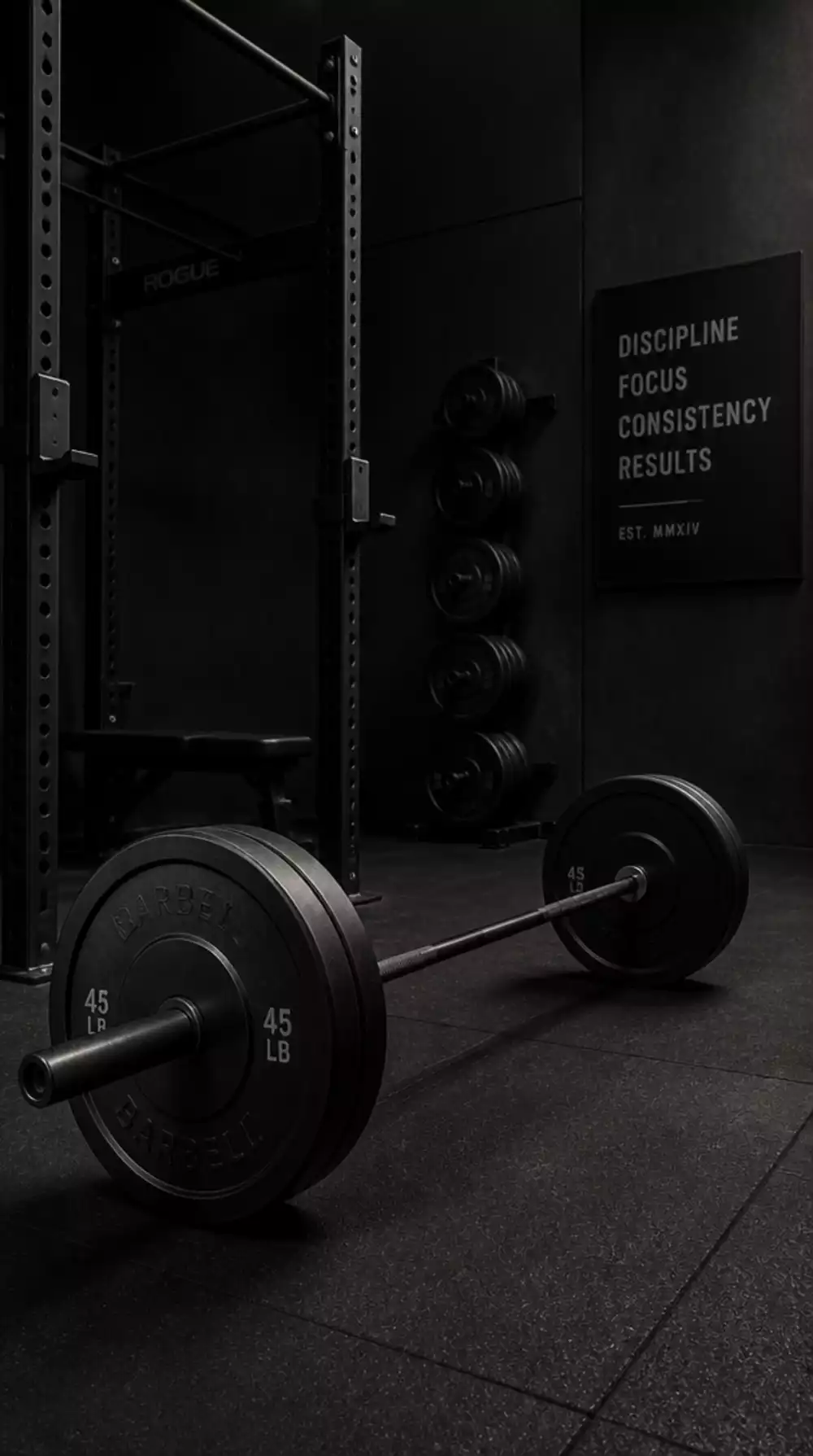 Matte Black Home Gym Barbell and Plate Set That Anchors a Dark Strength Zone
