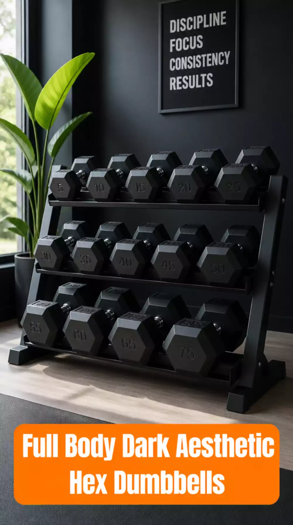 Home Gym Rubber Hex Dumbbells in Matte Black That Suit a Dark Aesthetic